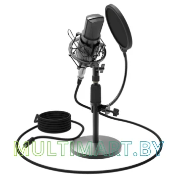 Микрофон Ritmix RDM-175